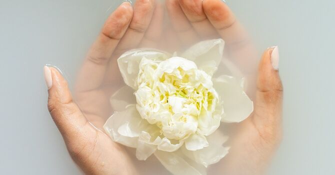 Deep tissue/Therapeutic Massage Therapy